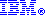 IBM insignia